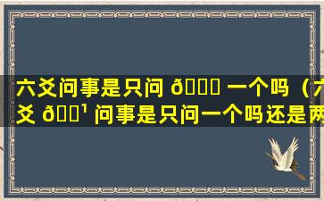 六爻问事是只问 🍀 一个吗（六爻 🌹 问事是只问一个吗还是两个）